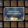 Activitats llenguatge oral català